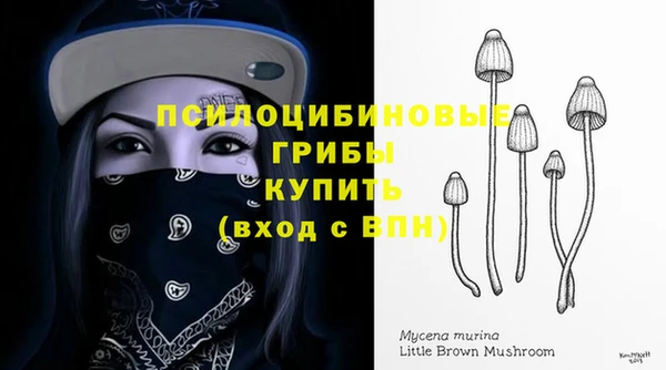 a pvp Беломорск